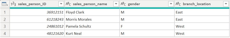 Power Query Editor-salesperson dimension table