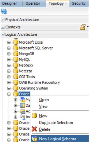 New Target Logical Schema
