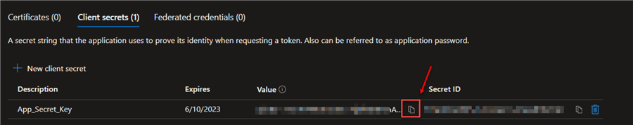 Copy App Secret Value