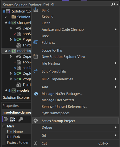 configure project as startup