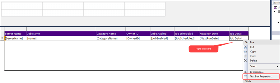 Job detail text box properties