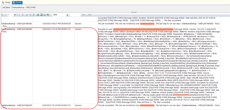 Report execution history