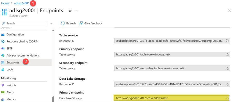 Endpoint Copy the endpoint