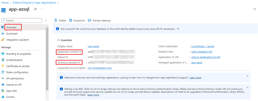 Application (client) ID and Directory (tenant) ID