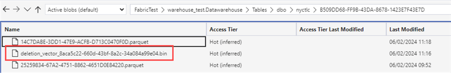 the deletion vector amidst the other parquet files