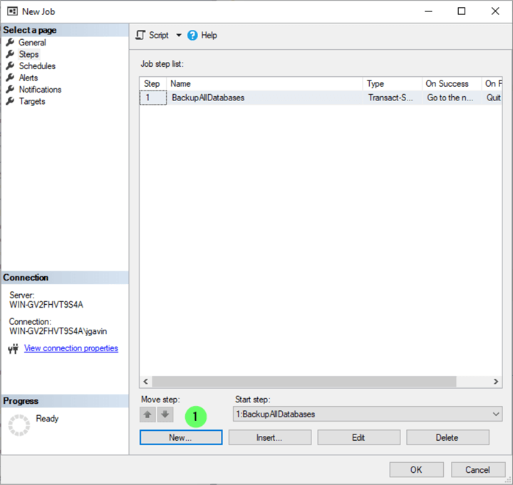 Create SQL Agent Job 4