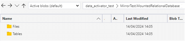 files and tables of the mirrored database