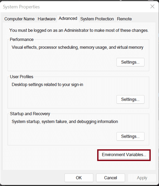 Environment Variable