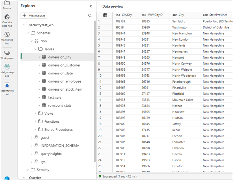 alice can query data within the warehouse
