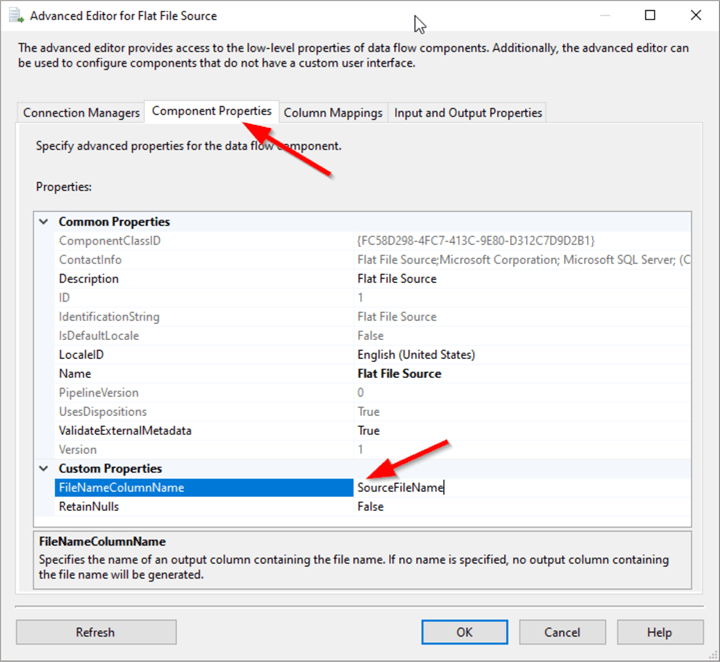Advanced Editor for Flat File Source