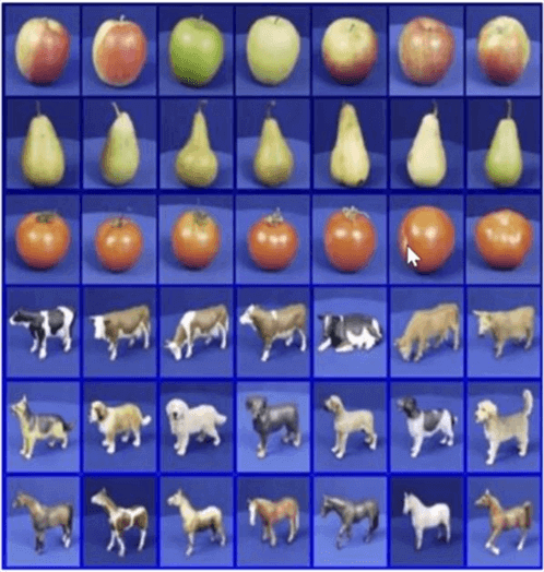 Sample image with objects sorted by similarities