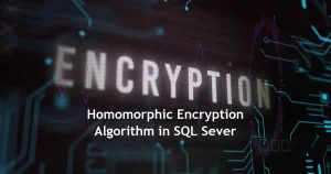 Homomorphic Encryption Algorithm in SQL Server