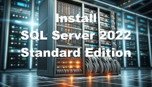 Install SQL Server 2022 Standard Edition