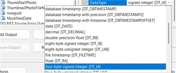 ssis data type options