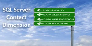 Microsoft SQL Server Data Warehouse Data Quality, Cleansing, Verification and Matching