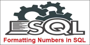 SQL Format Number with CAST, CONVERT and more