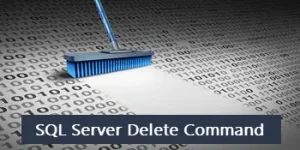 SQL DELETE Statement Examples and Best Practices