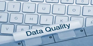 Data Quality Tools to Streamline Development and Data Accuracy