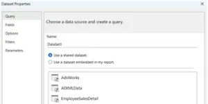 Datasets in SSRS to Define the Data Structure
