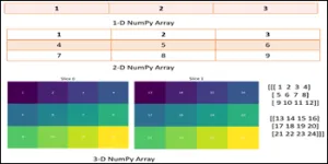 Python Numpy for Multi-Dimensional Arrays