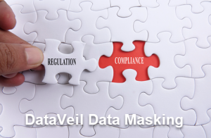 DataVeil Data Masking