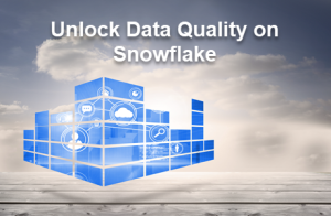 Unlock Instant Data Quality and Data Enrichment on Snowflake Marketplace
