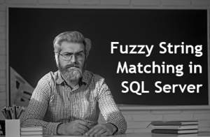 Fuzzy String Matching Algorithms in SQL Server